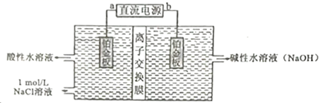 图片_x0020_100006