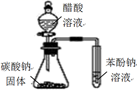 图片_x0020_100012