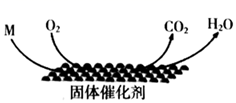 图片_x0020_100007