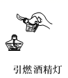 图片_x0020_100009