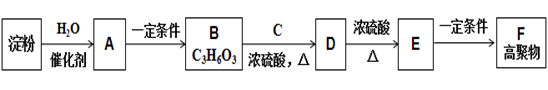 图片_x0020_100065