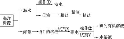图片_x0020_613316375