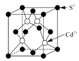 图片_x0020_1892918564