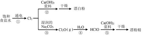 图片_x0020_100022