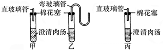 图片_x0020_1000