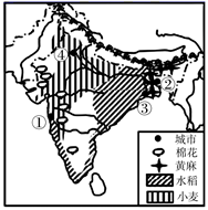图片_x0020_100020