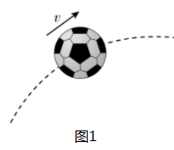 图片_x0020_100009