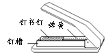 图片_x0020_100019
