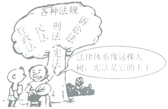 图片_x0020_100002