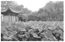 图片_x0020_100008