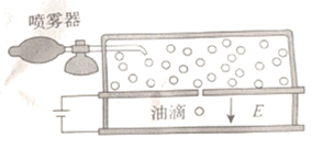 图片_x0020_100006
