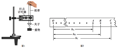 图片_x0020_100015