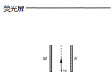 图片_x0020_100020