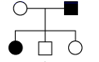 图片_x0020_100006