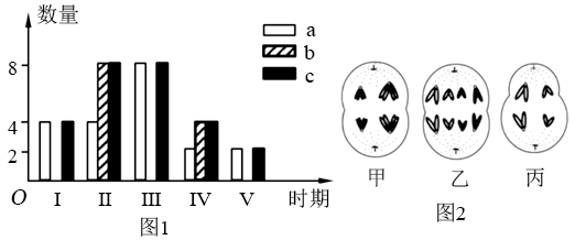 图片_x0020_100013
