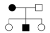 图片_x0020_100008