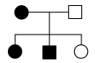 图片_x0020_100009