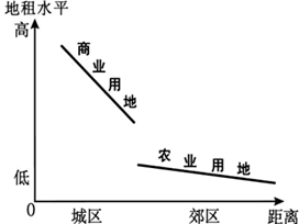 图片_x0020_100018