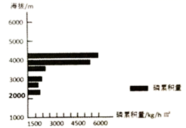 图片_x0020_100005