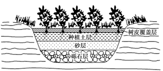 图片_x0020_100001