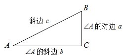 图片_x0020_100006