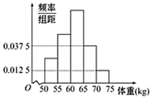 图片_x0020_27