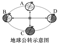 图片_x0020_1095078720