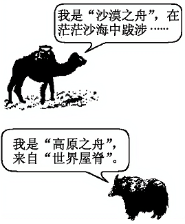 图片_x0020_100006