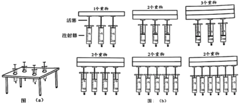 图片_x0020_100033