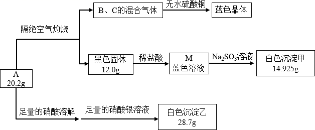 图片_x0020_100012