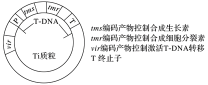 图片_x0020_100015