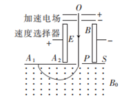 图片_x0020_100016