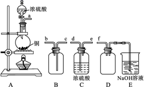图片_x0020_100017