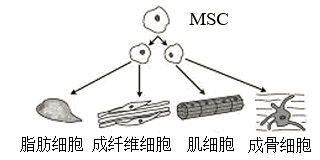 图片_x0020_100003