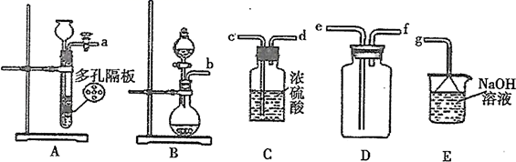 图片_x0020_100013