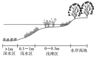 图片_x0020_1616648513