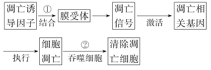 图片_x0020_100004