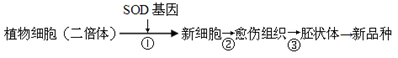 图片_x0020_100001