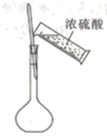 图片_x0020_100008