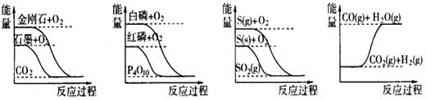 图片_x0020_905418605