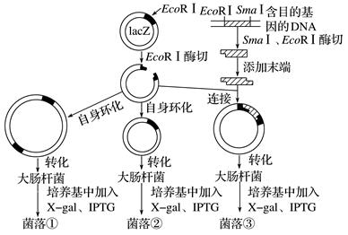 图片_x0020_100015