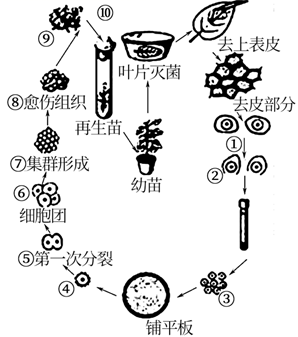 图片_x0020_34055705