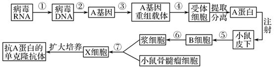 图片_x0020_100018