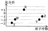 图片_x0020_1254931196