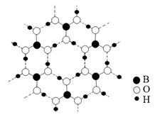 图片_x0020_1117248758
