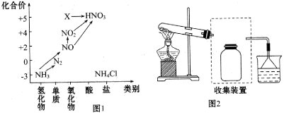 图片_x0020_100005