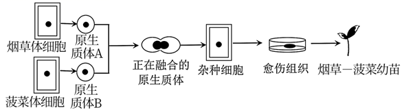 图片_x0020_100007