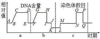图片_x0020_100002