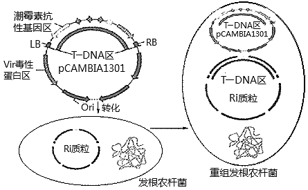 图片_x0020_1640404753