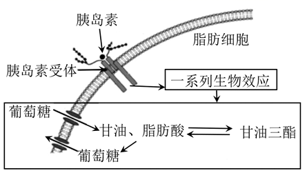 图片_x0020_1557748734